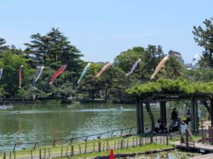 千葉公園内 綿打池と鯉のぼり